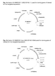 Plants with increased yield