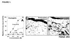 5-oxo-ETE receptor antagonist compounds