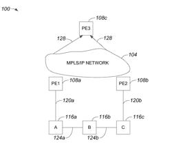 ETHERNET VIRTUAL PRIVATE NETWORK SYSTEM FOR PROVIDING FAST PROTECTION FOR ACCESS RINGS