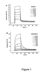 Fibroblast Growth Factor Receptor-Derived Peptides Binding to NCAM