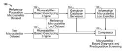 Methods and Compositions for Identifying Global Microsatellite Instability and for Characterizing Informative Microsatellite Loci