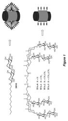 Tandem facial amphiphiles