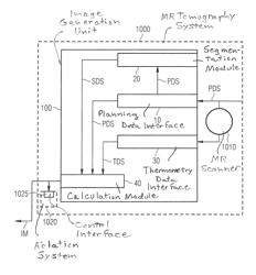 METHOD AND APPARATUS FOR GENERATION OF IMAGE DATA BASED ON MR THERMOMETRY DATA