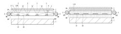 Light source device and display