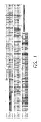 Targeted antimicrobials and related compositions, methods and systems