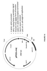 Sweetener preparations and methods of use