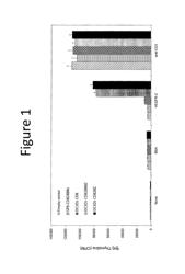 Anti-vascular endothelial growth factor receptor-2 chimeric antigen receptors and use of same for the treatment of cancer