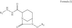 1,6-diazabicyclo [3,2,1] octan-7-one derivatives and their use in the treatment of bacterial infections