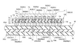 Semiconductor device and package wiring substrate with matrix pattern external terminals for transmitting a differential signal