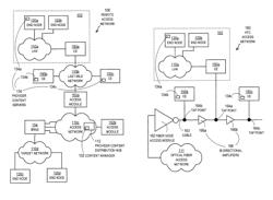 Techniques for distributing network provider digital content to customer premises nodes