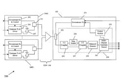 High capacity optical frequency division multiple access passive optical network