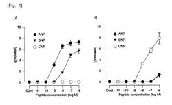 MEDICINAL AGENT FOR PREVENTING EXACERBATION OF MALIGNANT TUMOR, COMPRISING COMBINATION OF NATRIURETIC PEPTIDE RECEPTOR GC-A AND GC-B AGONISTS