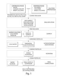 Therapeutic Nanoparticles Comprising a Therapeutic Agent and Methods of Making and Using Same