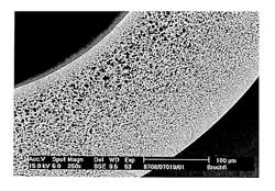 Ultrafiltration membrane