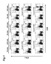 Cytotoxic T cell epitope peptide for SARS coronavirus, and use thereof