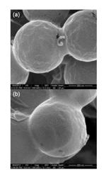 PREPARATION METHOD OF HOLLOW CARBON SPHERE AND CARBON SHELL-SULFUR COMPOSITE, HOLLOW CARBON SPHERE, AND CARBON SHELL-SULFUR COMPOSITE FOR SECONDARY LITHIUM SULFUR BATTERY