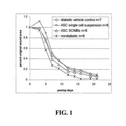 Methods and compositions useful for diabetic wound healing