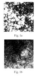 Protein peptide hydrogels