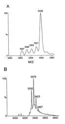 Methods for the production and secretion of modified peptides