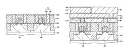 Semiconductor device having copper wiring with increased migration resistance