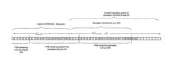 Channelization procedure for implementing persistent ACK/NACK and scheduling request