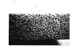 GROWTH SUBSTRATE FOR PLANTS