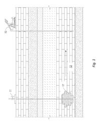 COMPOSITION AND METHOD FOR REMEDIATION OF NEAR WELLBORE DAMAGE