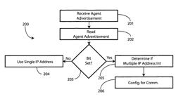 Method and apparatus for detection of network having multiple IP-address capability