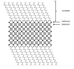 METHOD OF INCREASING THE THICKNESS OF COLLOIDAL NANOSHEETS AND MATERIALS CONSISTING OF SAID NANOSHEETS