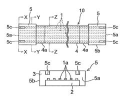 Optical connector and method of manufacturing same