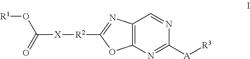 Carboxylic acid derivatives having a 2,5-substituted oxazolopyrimidine ring