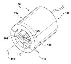 Portable Detection Apparatus and Method