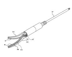 Scissor tip for bipolar high frequency endoscope