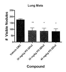 Use of peptide epoxyketones for metastasis suppression