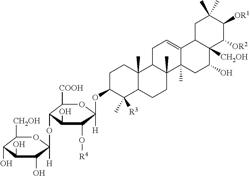 Agent for preventing or ameliorating skin aging