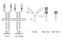 VEGF-BINDING PROTEIN FOR BLOCKADE OF ANGIOGENESIS