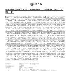 STABILIZED HUMAN IMMUNODEFICIENCY VIRUS (HIV) ENVELOPE (ENV) TRIMER VACCINES AND METHODS OF USING SAME