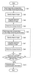 Medical image processing apparatus and medical image processing method