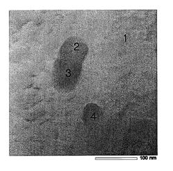 COPPER ALLOY MATERIAL FOR ELECTRICAL AND ELECTRONIC COMPONENTS AND METHOD OF PREPARING THE SAME