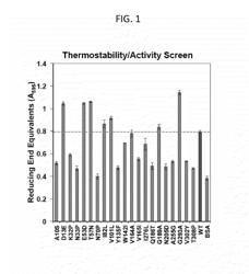 ENDOGLUCANASE HAVING ENHANCED THERMOSTABILITY AND ACTIVITY