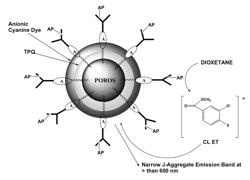 Reagents, kits and methods for detecting biological molecules by energy transfer from an activated chemiluminescent substrate to an energy acceptor dye