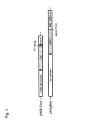 Mutant plant, a method for producing thereof and a method of increasing frequency of a genetic recombination