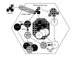 Vaccine Nanotechnology