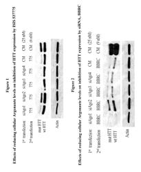 METHODS AND COMPOUNDS USEFUL IN CONDITIONS RELATED TO REPEAT EXPANSION