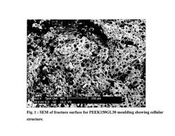 Process for introducing a gas into a polymer