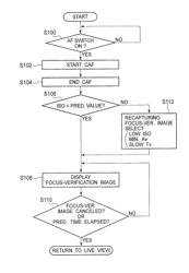 Focusing image verifying device