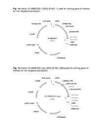 PLANTS WITH INCREASED YIELD