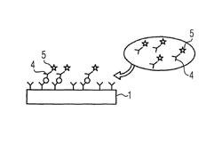 Method and device for optical detection of substances in a liquid or gaseous medium