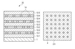 Magnetic recording medium with a plurality of pinning portions in the magnetic layer