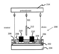 CARBON NANOSTRUCTURE ELECTROCHEMICAL SENSOR AND METHOD